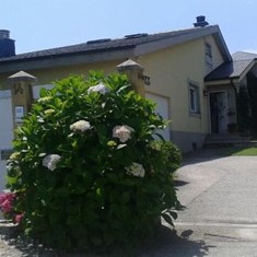 FOLGOSA (RIBADEO)